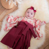 モダンうめ袴　女の子　01G1004